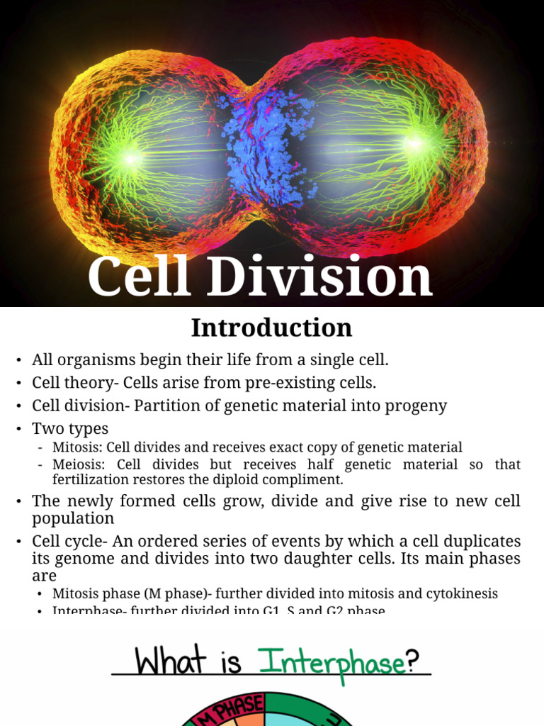 5.cell Division | PDF | Meiosis | Mitosis