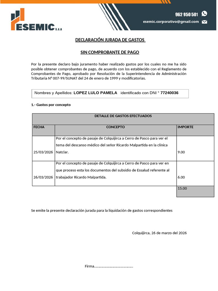 Declaracion Jurada de Gastos | PDF