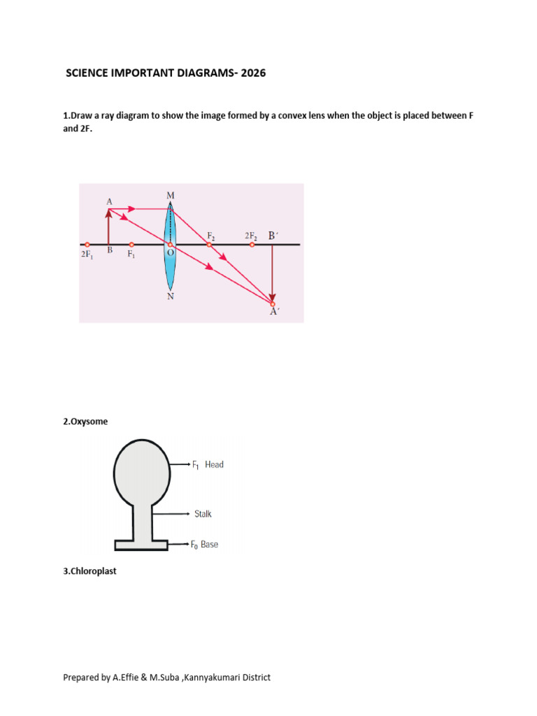 X Science Diagrams PDF | PDF