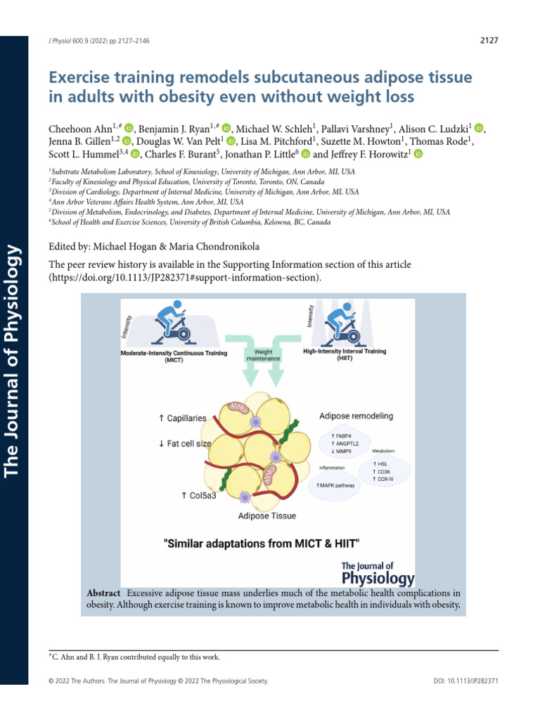Exercise Training Remodels Subcutaneous Adipose Tissue | PDF | Adipose ...