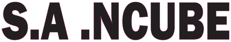 Ncube | PDF