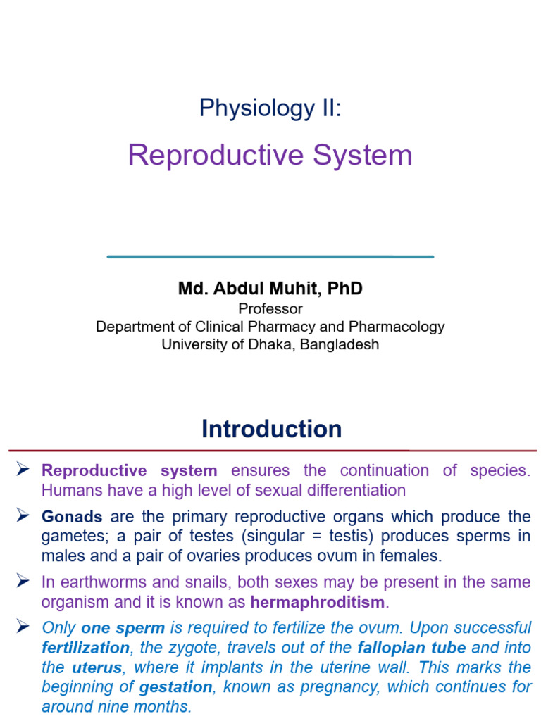 Reproductive System | PDF | Estrogen | Luteinizing Hormone