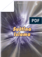 Bs Sustina Islama