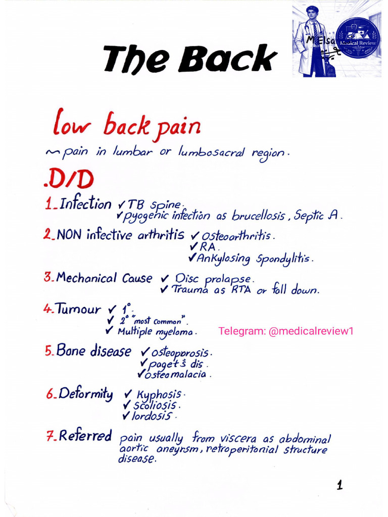 Orthopedic Back | PDF