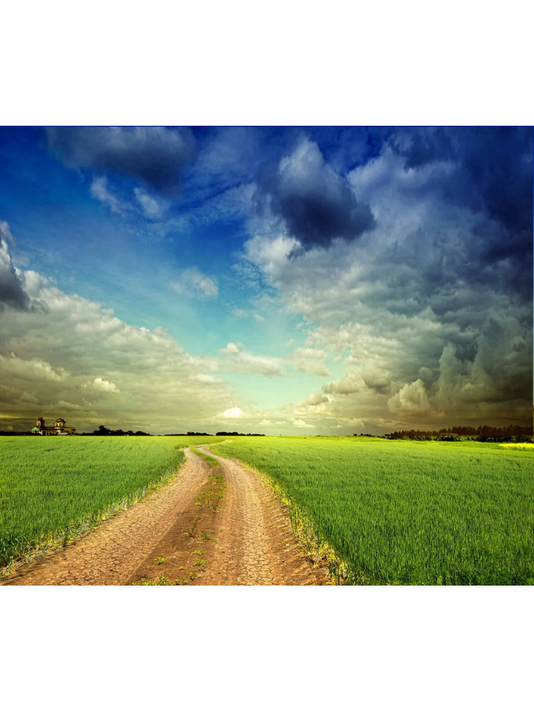 Landscape | PDF