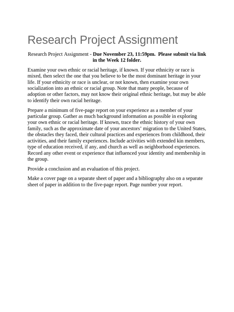 Research Project Assignment | PDF