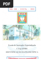 Sistema de Identificação Humana - Datiloscopia