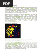 Download Pengertian Enzim by Aishah Harun SN101882251 doc pdf