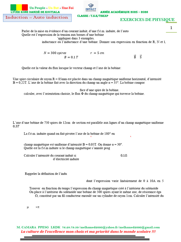 Induction Auto-Induction | PDF | Inducteur | Champ magnétique