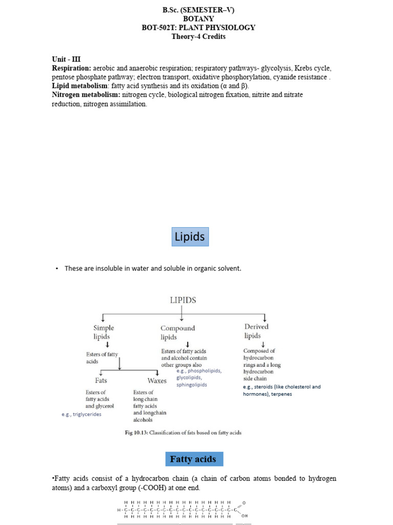 Fat Metabolism | PDF | Fatty Acid | Biosynthesis