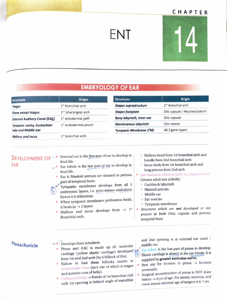 ENT 17th Edition-1 | PDF
