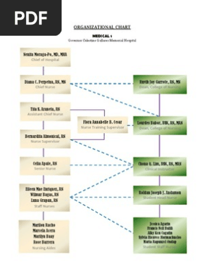 Organizational Chart