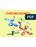 Chromosomes