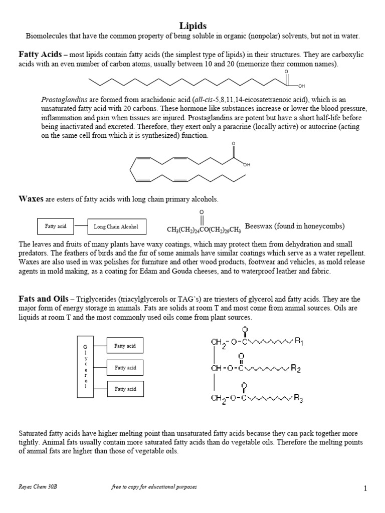 Classification of Lipids | PDF | Lipid | Fatty Acid
