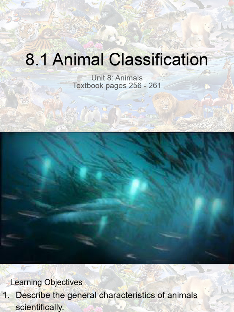 8.1 Animal Classification | PDF