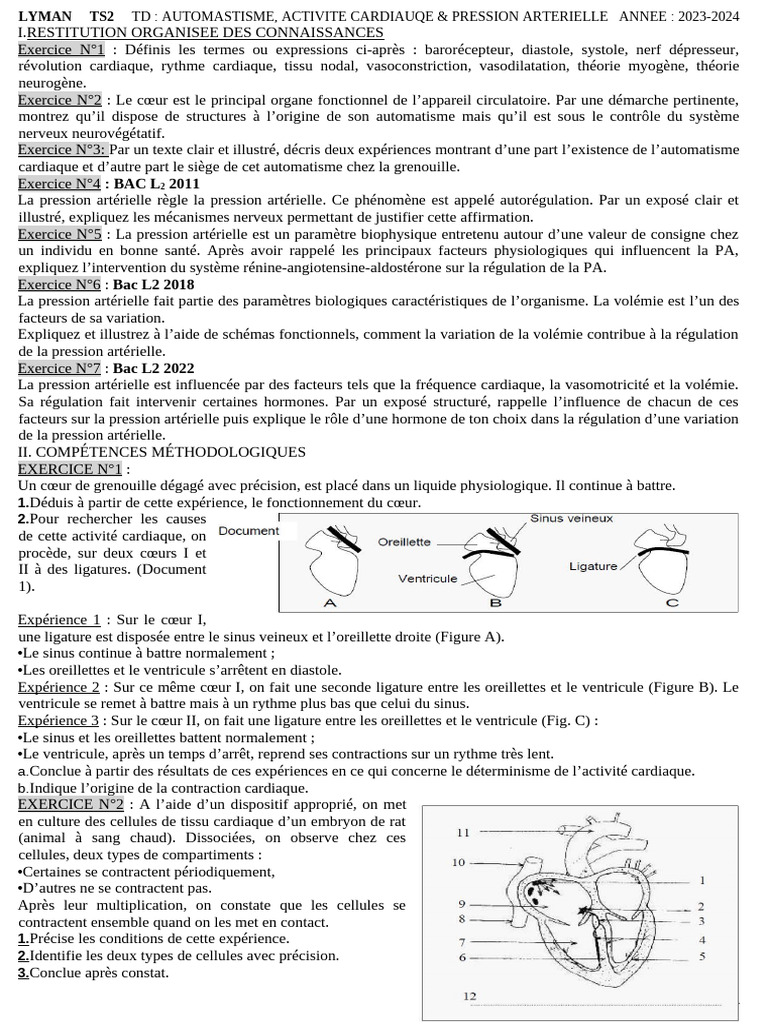 TD Cardiaque Et Pression Arterielle 2024 | PDF
