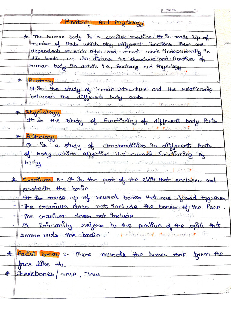 Anatomy Notes | PDF