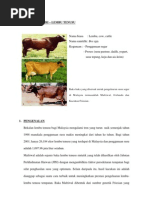 Contoh Kertas Kerja Untuk Pinjaman - Sasa Spa