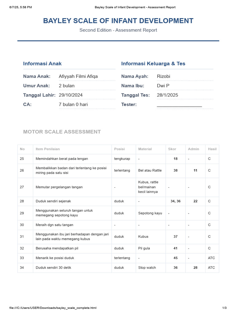Bayley Scale of Infant Development - Assessment Report | PDF