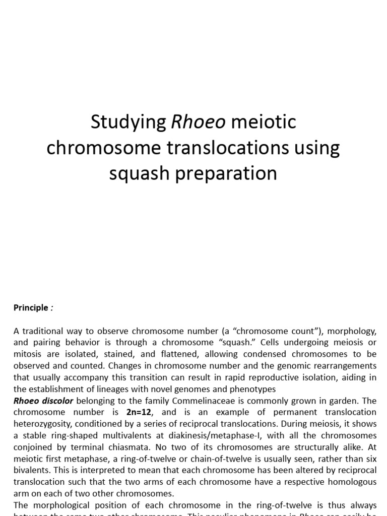P3 Studying Rhoeo Translocations Using Squash Preparation - Write Up ...