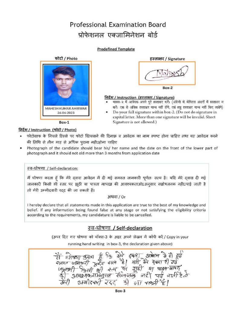 Madhya Pradesh Professional Examination Board - Template (1 ...