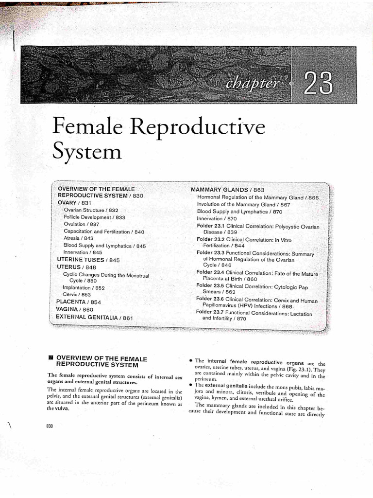Female Reproductive System 4th Sem | PDF