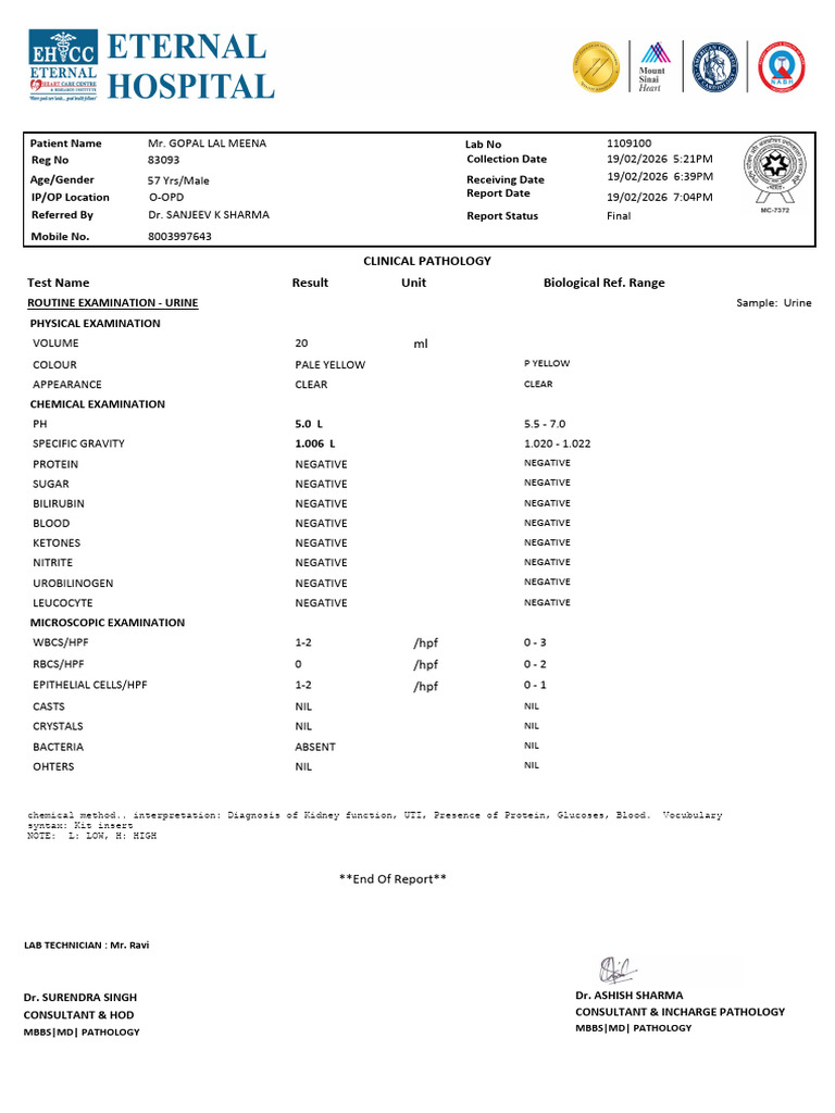 InvestigationReport 2 | PDF | Pathology | Clinical Medicine