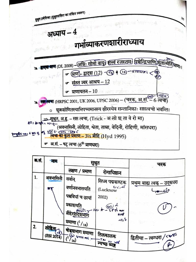 Document 16 | PDF