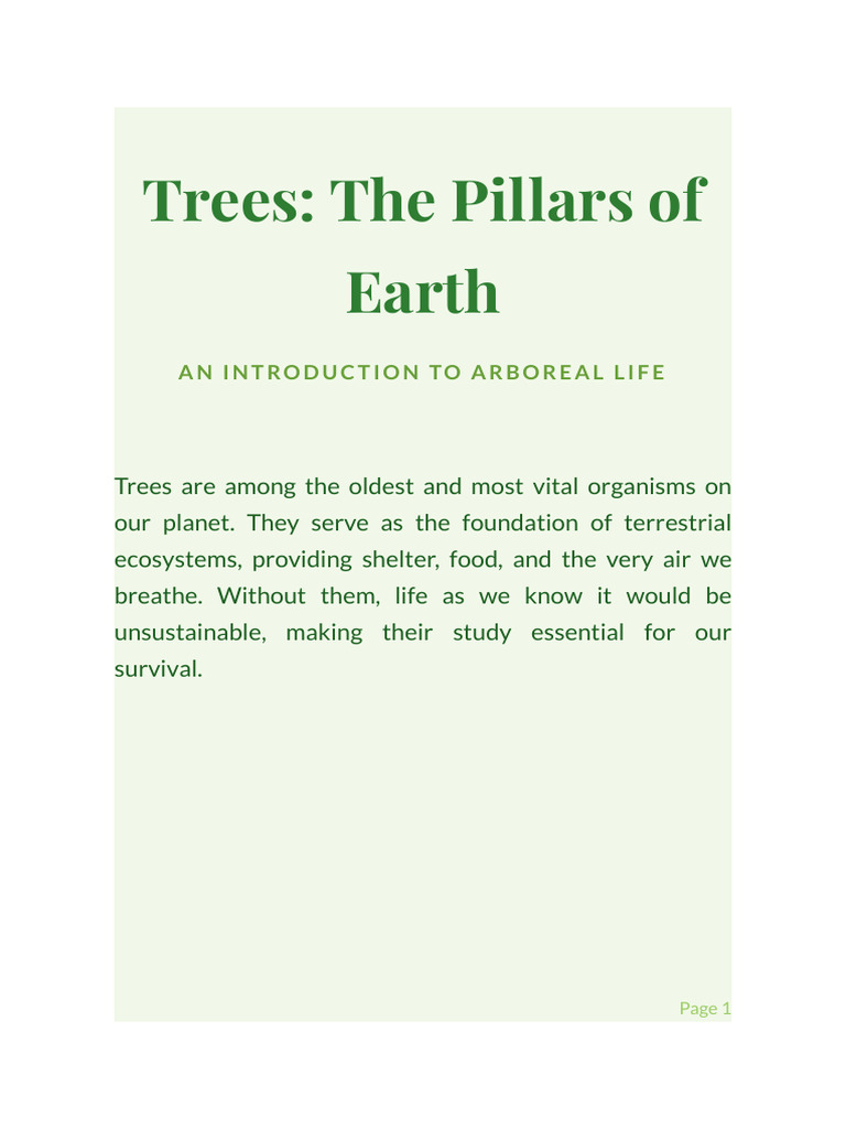 Trees Report | PDF