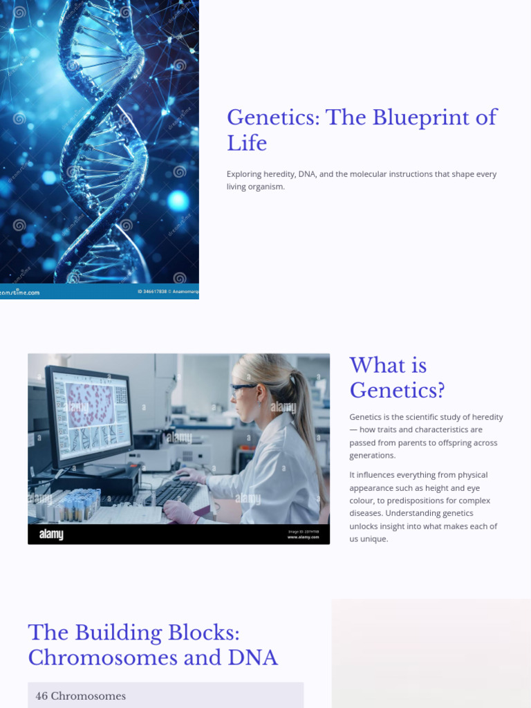 Genetics The Blueprint of Life | PDF | Genotype | Dominance (Genetics)