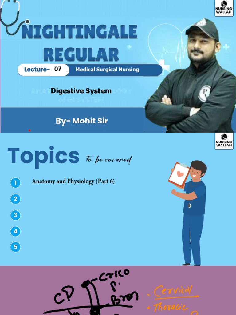 Digestive System 07 Class Notes | PDF