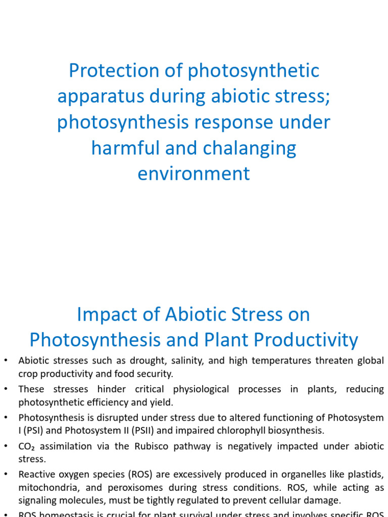 Photosynthesis and Abiotic Stress | PDF | Photosynthesis | Reactive ...