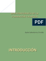Bioestratigrafía - FM Calapuja
