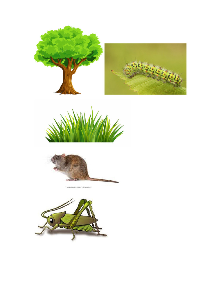 Gambar Rantai | PDF
