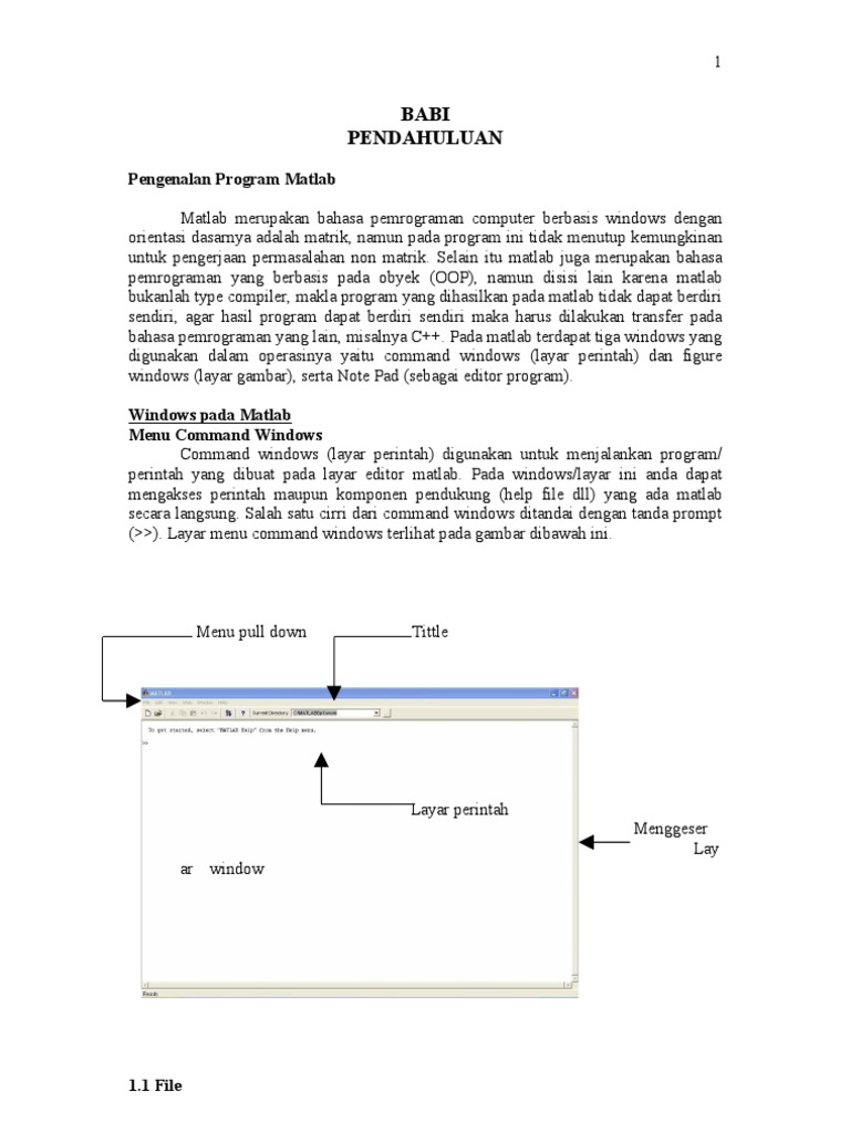 Pengenalan Program Matlab dan Fungsinya | PDF