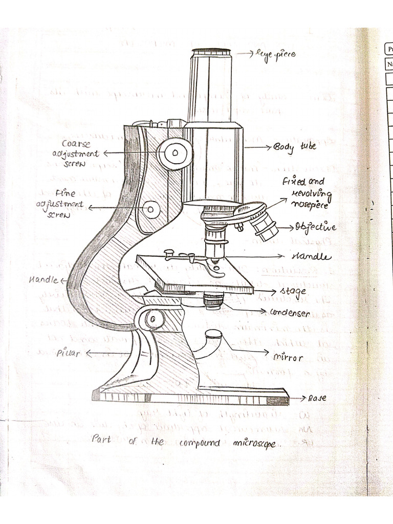 Microscope and Its Ues | PDF