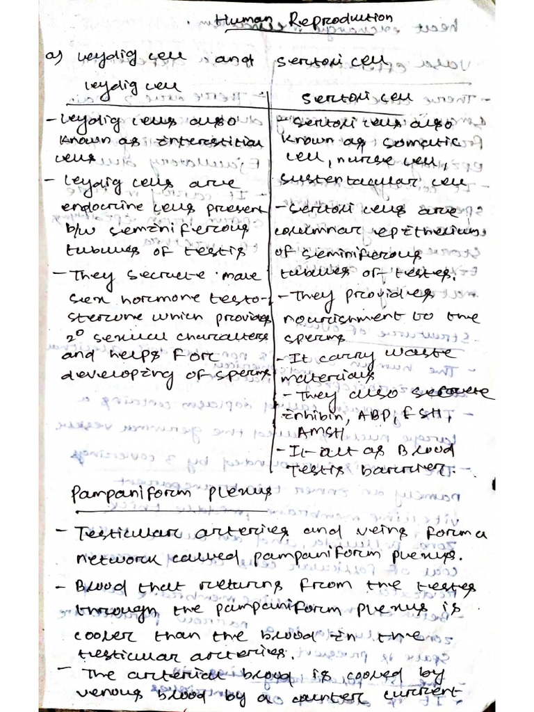 Document 41 | PDF