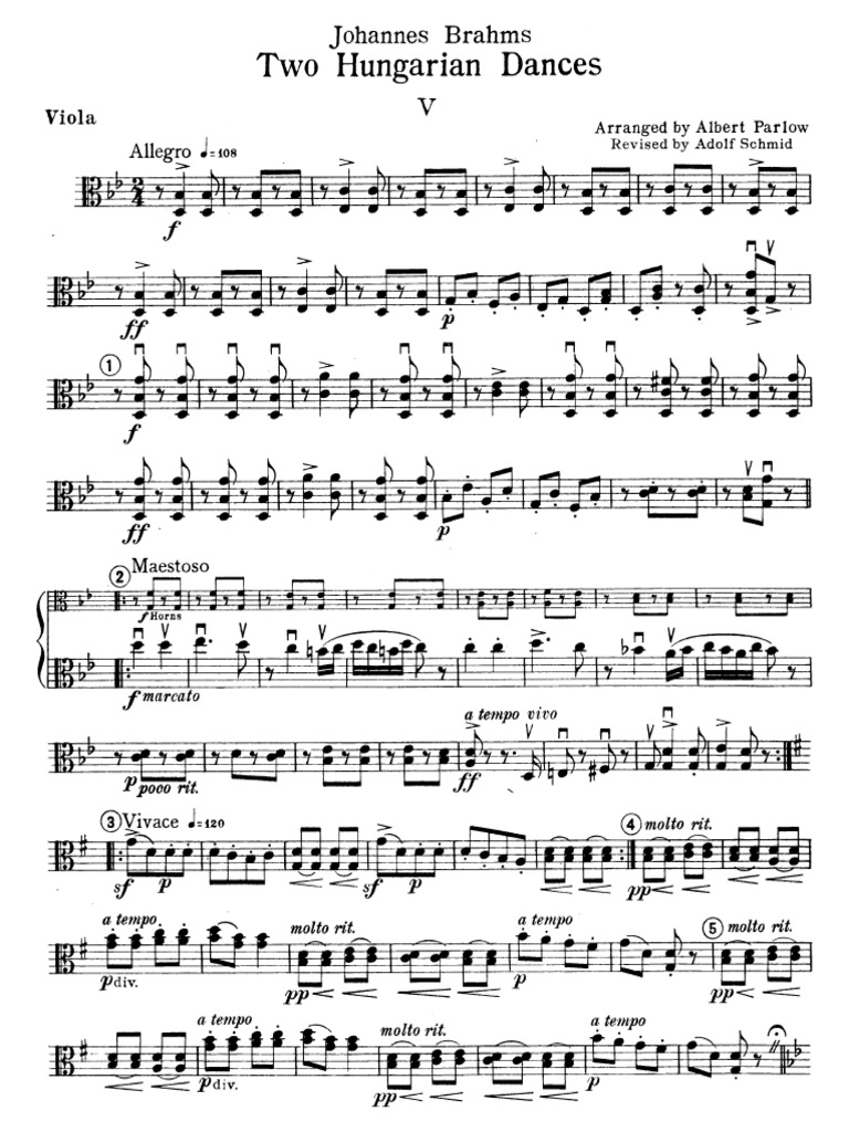 Viola | PDF