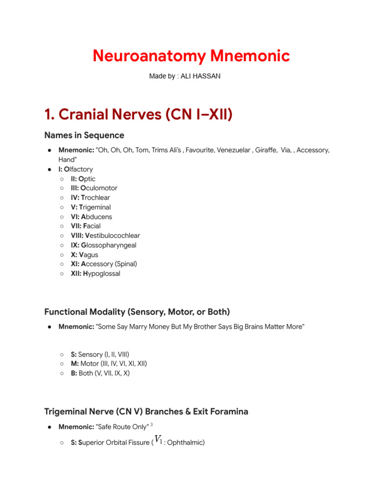 Neuroanatomy Mnemonic | PDF