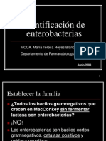 50141818 Identificacion de Las Enterobacterias Mas Comunes