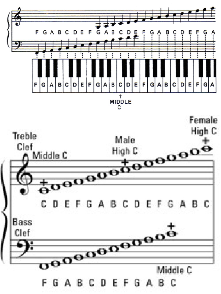 Basic Piano Notes | PDF