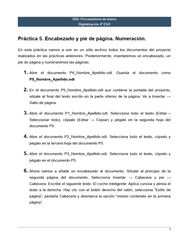 P5 Instrucciones | PDF | Software