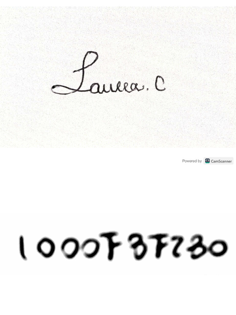 Firma Laura | PDF