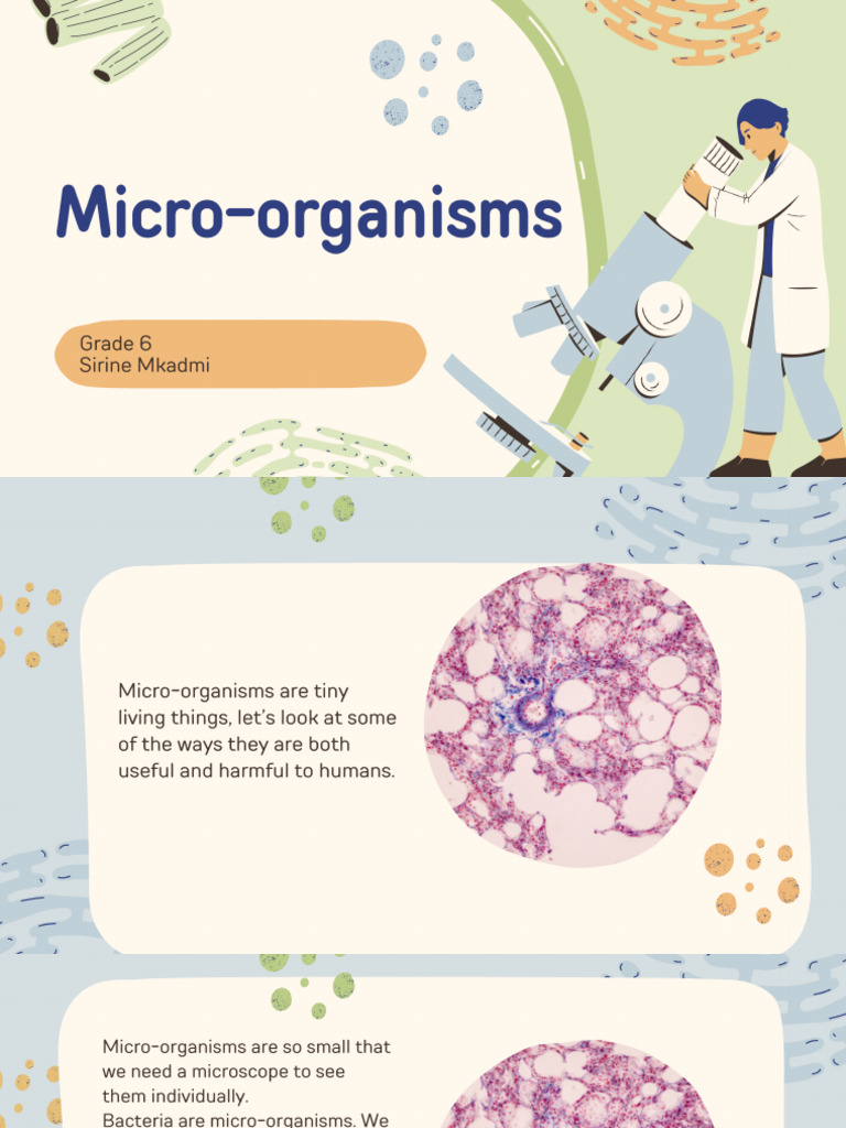 Micro Organism | PDF