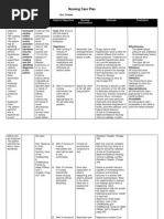 Download Nursing Care Plan 2 by KM Topacio SN101918219 doc pdf