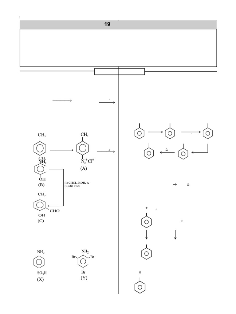 19 Amines | PDF | Amine | Hydrogen Compounds