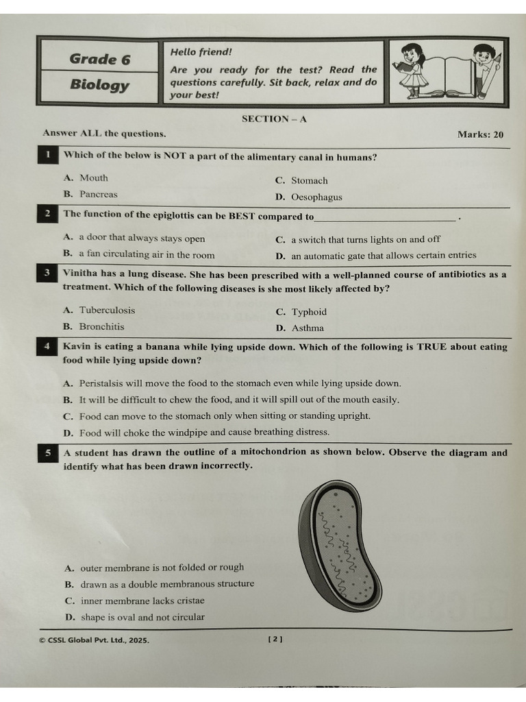 Class - 6 Biology Annual | PDF