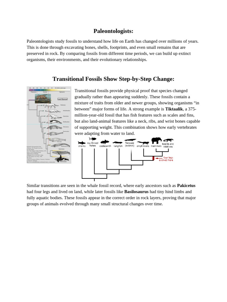 Paleontologist - AP Bio Project | PDF | Fossil | Paleontology