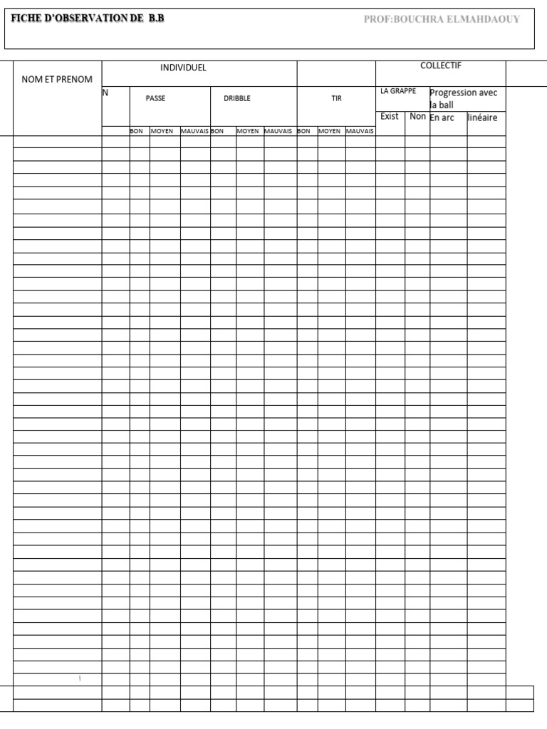 Grille Dobservation BB | PDF