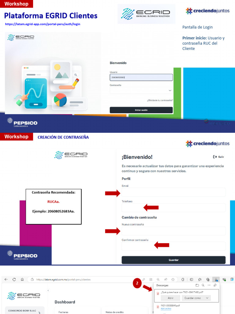 Manual Egrid Clientes | PDF